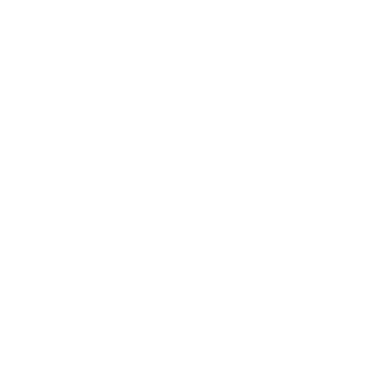 pie chart image